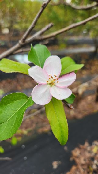 호두마루님의 자유주제 · 자유게시판 작성글 사진