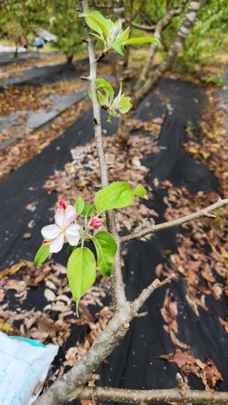 호두마루님의 자유주제 · 자유게시판 작성글 사진