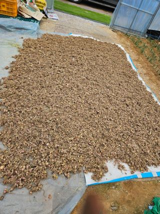 이한용님의 자유주제 · 자유게시판 작성글 사진