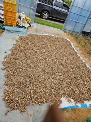 이한용님의 자유주제 · 자유게시판 작성글 사진