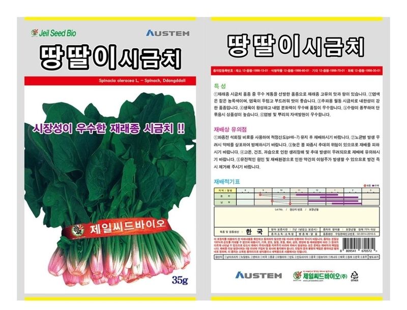 대산농사대장님의 장터 판매 상품 [땅딸이시금치 400g 대용량 재래종 월동시금치] 첨부 사진