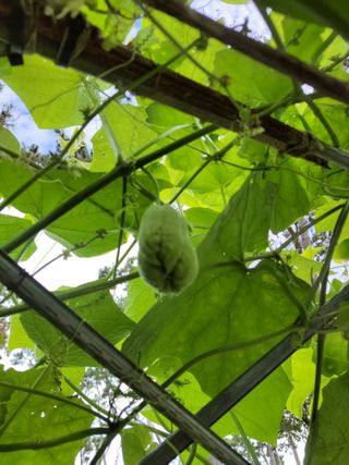 원빈님의 자유주제 · 자유게시판 작성글 사진