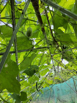 원빈님의 자유주제 · 자유게시판 작성글 사진