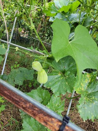 원빈님의 자유주제 · 자유게시판 작성글 사진