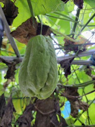 원빈님의 자유주제 · 자유게시판 작성글 사진