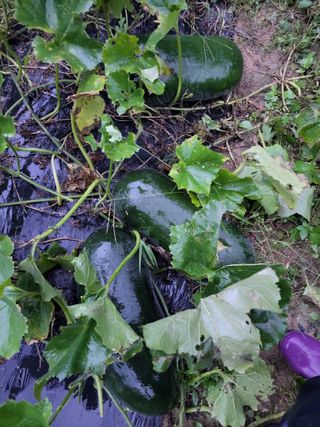 원빈님의 자유주제 · 자유게시판 작성글 사진