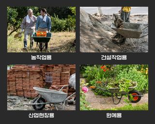 유니즈님의 작성글 사진