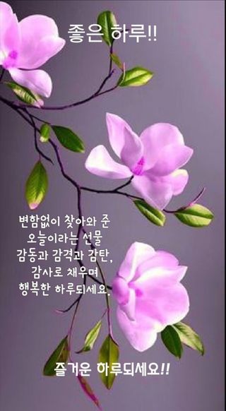 자연과함께 휠링님의 팜모닝 · 출석 작성글 사진