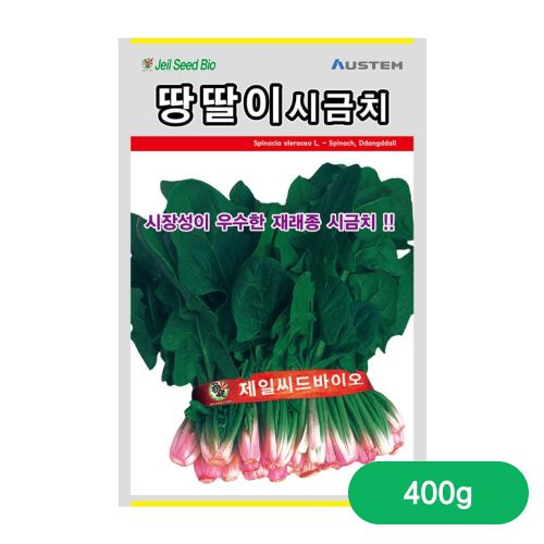 장터 상품 [[오스템바이오] 땅딸이 시금치 400g 대용량] 썸네일