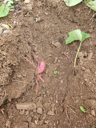 farmer님의 자유주제 · 자유게시판 작성글 사진