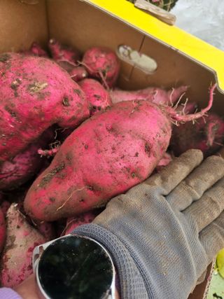 farmer님의 자유주제 · 자유게시판 작성글 사진