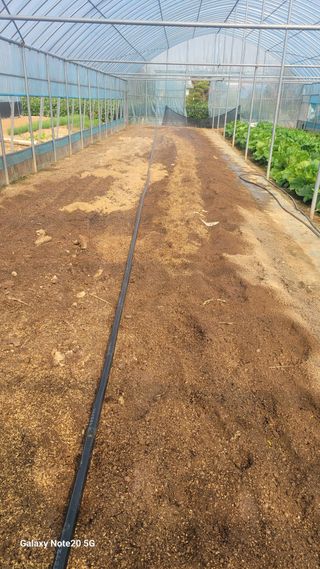 제주농부님의 들깨 · 영농일지 작성글 사진