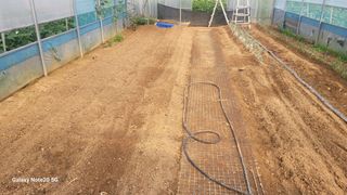 제주농부님의 들깨 · 영농일지 작성글 사진