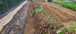 정진해님의 자유주제 · 자유게시판 작성글 사진