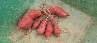 정진해님의 자유주제 · 자유게시판 작성글 사진