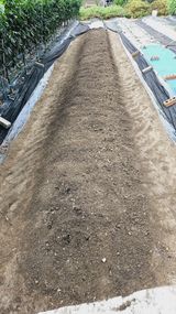 팜모닝 자유주제·자유게시판 게시글 이미지