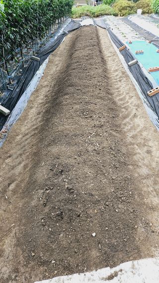 김호열님의 자유주제 · 자유게시판 작성글 사진