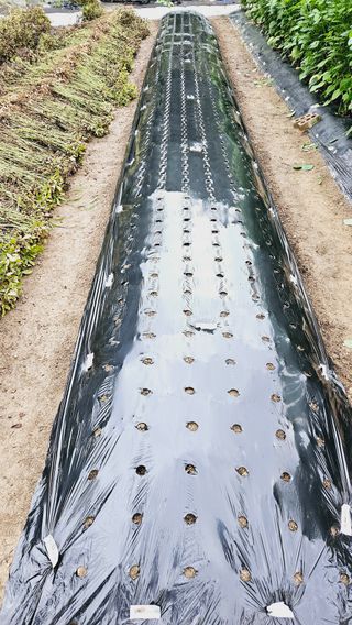 김호열님의 자유주제 · 자유게시판 작성글 사진