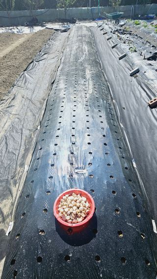 김호열님의 자유주제 · 자유게시판 작성글 사진