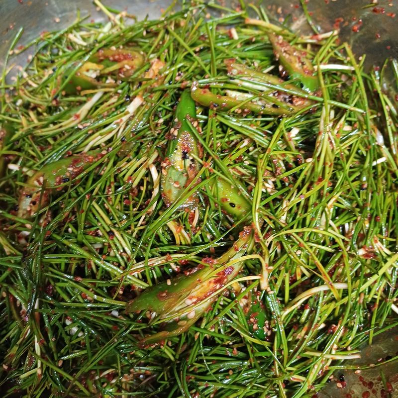 삼성농산님의 장터 판매 상품 [(마감)영양부추뿌리.잎 판매] 첨부 사진