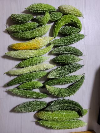 원빈님의 자유주제 · 자유게시판 작성글 사진