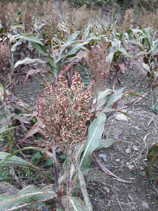 조동원님의 자유주제 · 자유게시판 작성글 사진