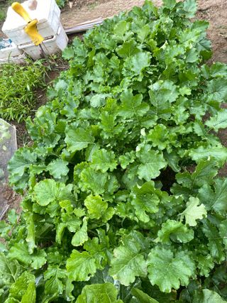 차형곤님의 자유주제 · 자유게시판 작성글 사진