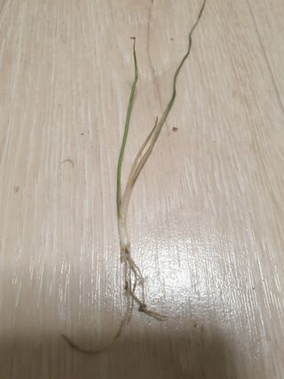 셋아이맘님의 작성글 사진