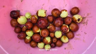 황규복(달구지)님의 자유주제 · 자유게시판 작성글 사진