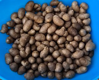 황규복(달구지)님의 자유주제 · 자유게시판 작성글 사진