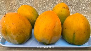 황규복(달구지)님의 자유주제 · 자유게시판 작성글 사진