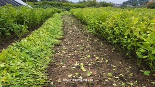 황규복(달구지)님의 자유주제 · 자유게시판 작성글 사진