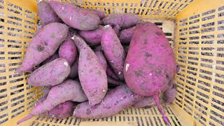 황규복(달구지)님의 자유주제 · 자유게시판 작성글 사진