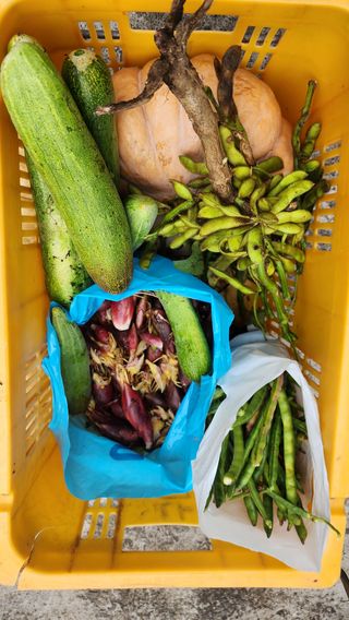 제주부자팜님의 자유주제 · 자유게시판 작성글 사진