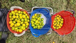 제주부자팜님의 자유주제 · 자유게시판 작성글 사진