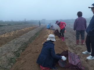 이종원님의 기타작물 · 영농일지 작성글 사진