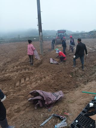 이종원님의 기타작물 · 영농일지 작성글 사진