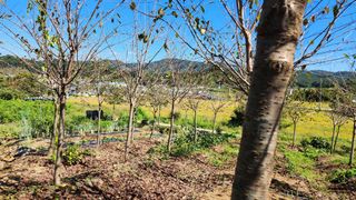 정진우님의 기타작물 · 영농일지 작성글 사진