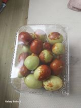 팜모닝 기타작물·영농일지 게시글 이미지