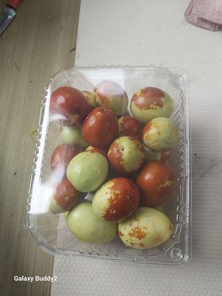 배추15698님의 기타작물 · 영농일지 작성글 사진