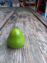 팜모닝 옥수수·자유게시판 게시글 이미지