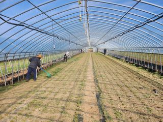 조일현님의 기타작물 · 영농일지 작성글 사진