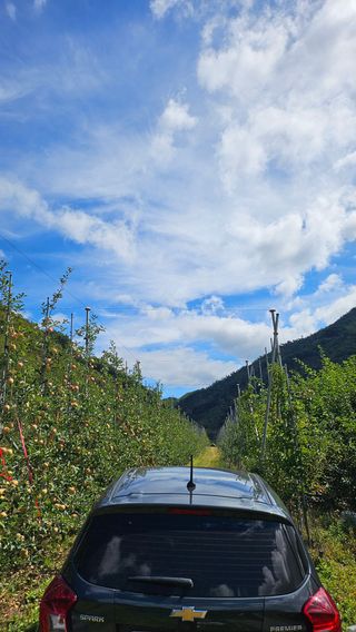 사과13993님의 사과 · 영농일지 작성글 사진