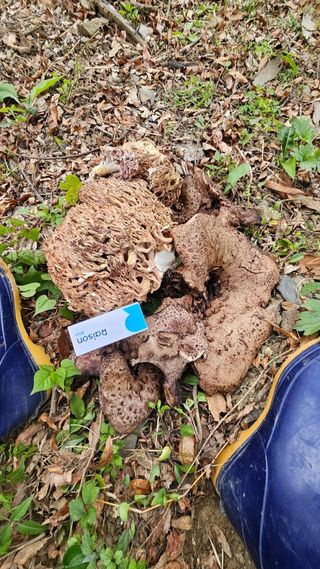 사과13993님의 사과 · 영농일지 작성글 사진