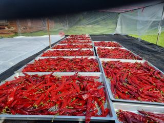 공석래님의 작성글 사진