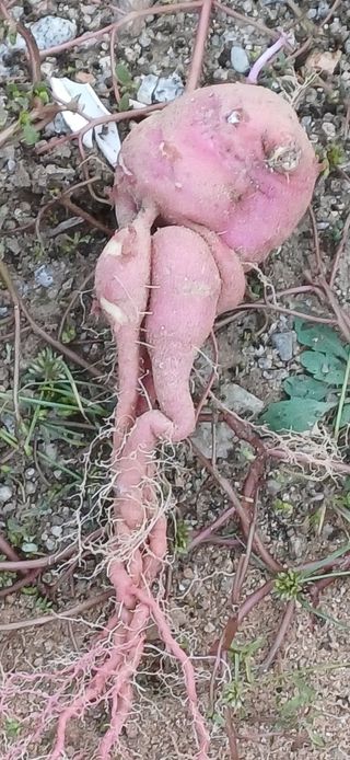 심 영훈님의 자유주제 · 자유게시판 작성글 사진