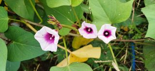 심 영훈님의 자유주제 · 자유게시판 작성글 사진