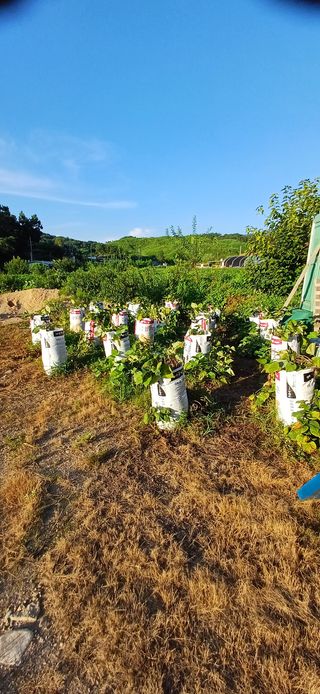 심 영훈님의 자유주제 · 자유게시판 작성글 사진