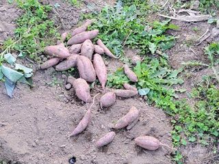 대파16548님의 자유주제 · 자유게시판 작성글 사진