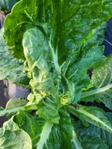 팜모닝 자유주제·자유게시판 게시글 이미지